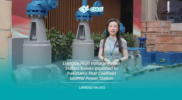 跨越萬(wàn)里 共筑光明——良固高壓電站閥出口巴基斯坦塔爾煤電一體化項(xiàng)目